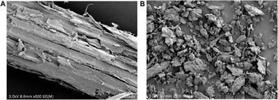 Microbial composition play the leading role in volatile fatty acid production in the fermentation of different scale of corn stover with rumen fluid